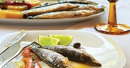A Quinta do Marquês - Castelo Branco - Foto 4