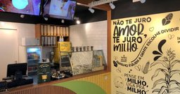 Amore Milho - Foto 2
