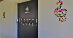 Araukarien Cerveja Artesanal - Foto 4