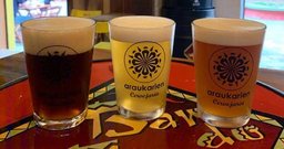 Araukarien Cerveja Artesanal - Foto 3