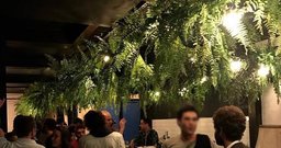 Bar Botânico Jardins - Foto 4