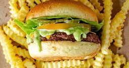 BBC Container - Foto 3