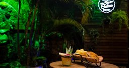 Botequim - Vila Cruzeiro - Foto 2