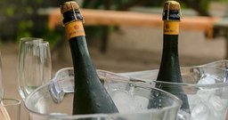 BRAMASOLE vinho boutique - Foto 3