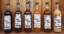 Cachaça Duas Vilas | Engenho Sansão - Foto 2