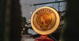 Cerveja Madalena - Foto 2
