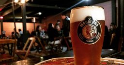 Cerveja Madalena - Foto 3
