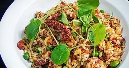 Cibo Barcozinha - Foto 1