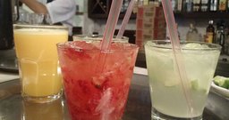 Excelentíssimo Botequim - Foto 4
