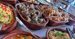 Fazenda três leões - Foto 5