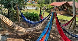 Fazenda três leões - Foto 4