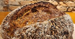 Forniamo Paninoteca - Foto 1