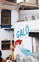 Galo - Foto 2