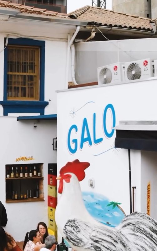 Galo - Foto 2