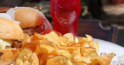 Gard Cervejaria - Foto 4