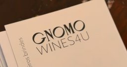 Gnomo - Foto 5