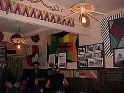 Graminha Vila Madalena - Foto 1