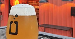 Levedura Beer - Foto 3
