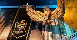 Magia & Bruxaria - Foto 4