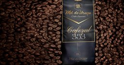 Mel de Uruçu Cafés Especiais - Foto 2