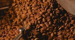 Mel de Uruçu Cafés Especiais - Foto 4