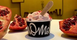 Momo Gelato - Pinheiros - Foto 4