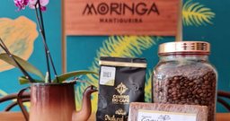 Moringa Mantiqueira - Foto 3