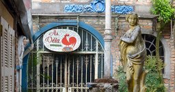 O Velhão - Foto 2
