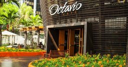 Octavio Café - Foto 2