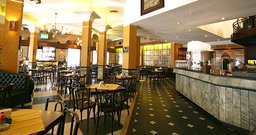 Pinguim - Centro - Foto 4