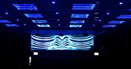 Pink Lab Club - Foto 4