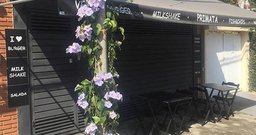 Primata Wings & Burgers - Foto 2