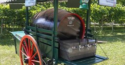 Quinta do Olivardo - São Roque - Foto 5
