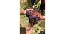 Roteiro do Vinho - Foto 3