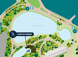 Sabiá do Parque - Ibirapuera - Foto 1