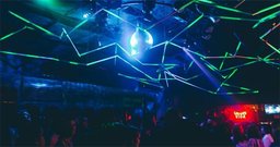 Selva - Foto 1