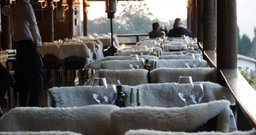 Senhor Vinho - Foto 3