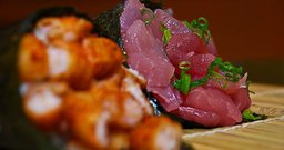 Temaki Ya - Santana - Foto 1