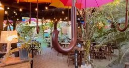 Umbrella Gastronomia - Foto 2
